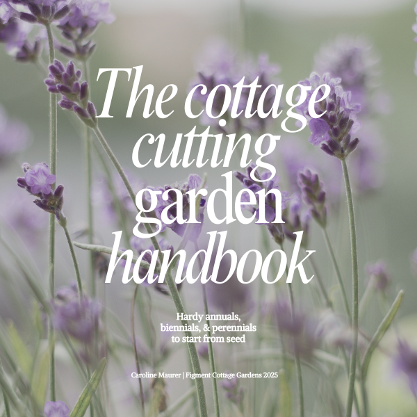 Book cover of 'The Cottage Cutting Garden Handbook' with lavender flowers in the background