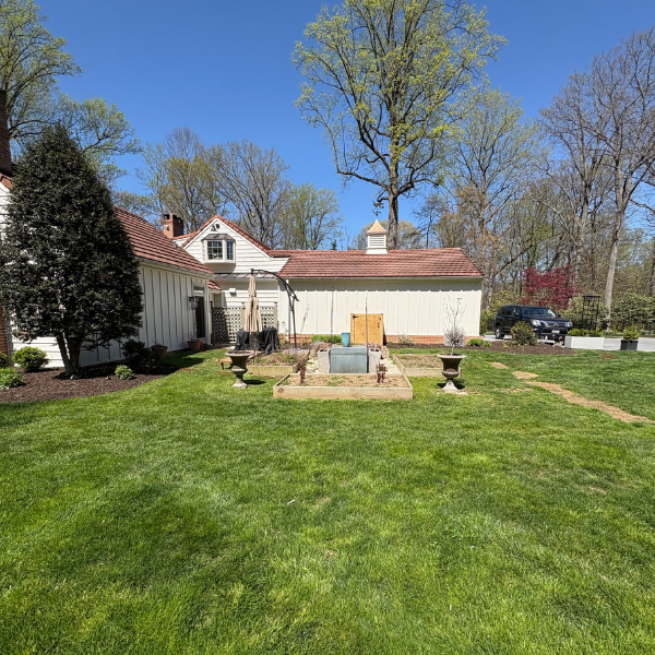 Backyard with a white house, trees, and a clear blue sky