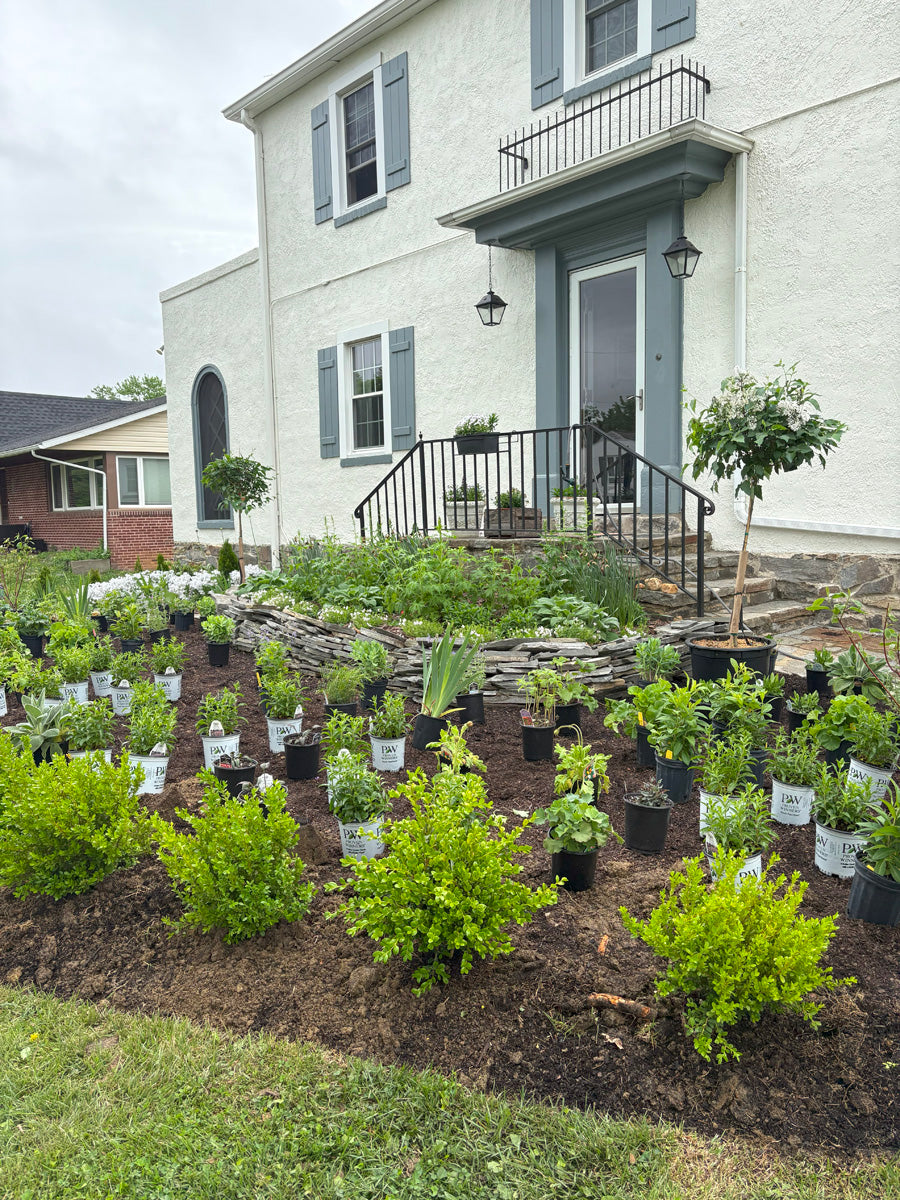 White house with cottage garden installation