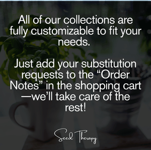 Sunflower Seed Collection