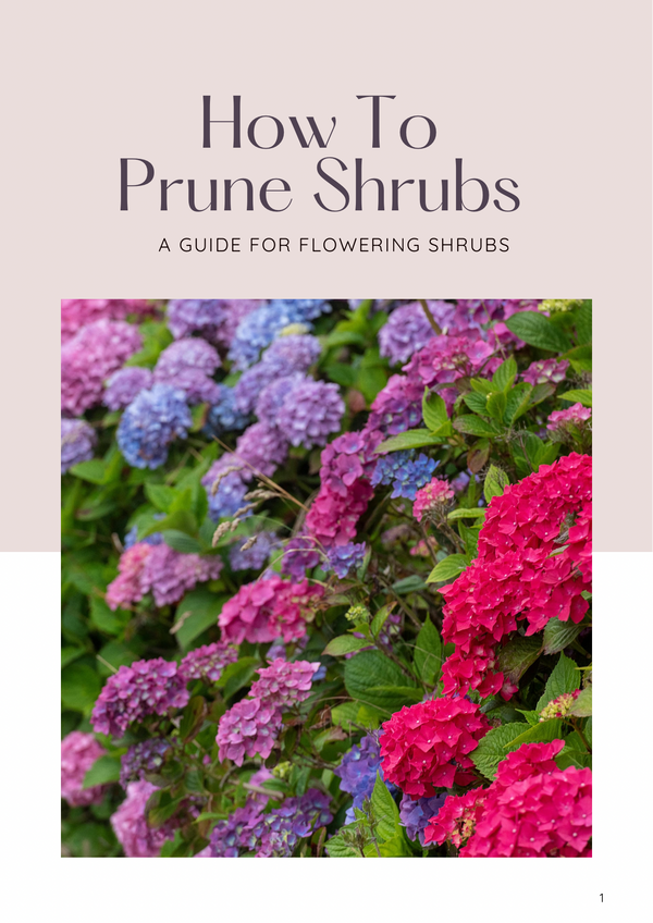 How to Prune Shrubs from A-Z
