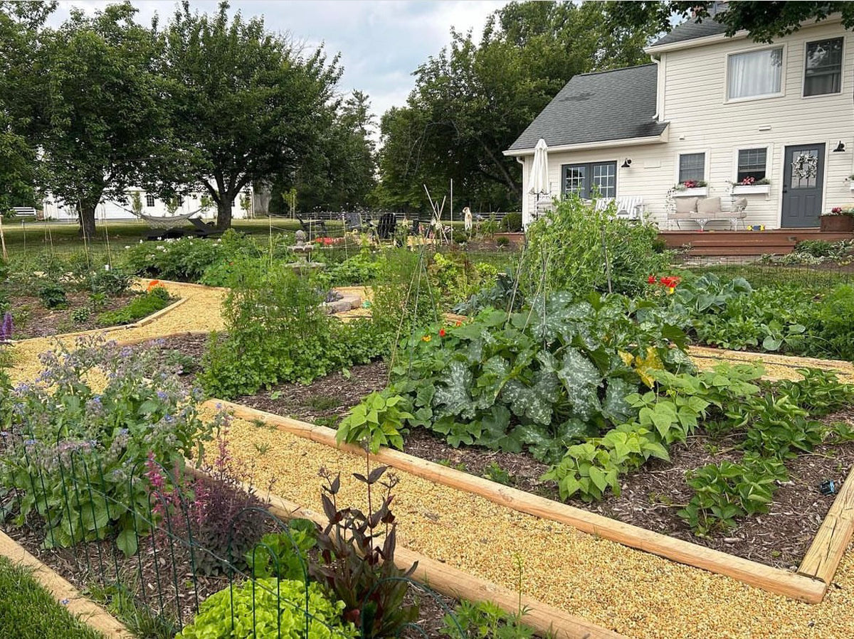 Formal kitchen garden in french potager style