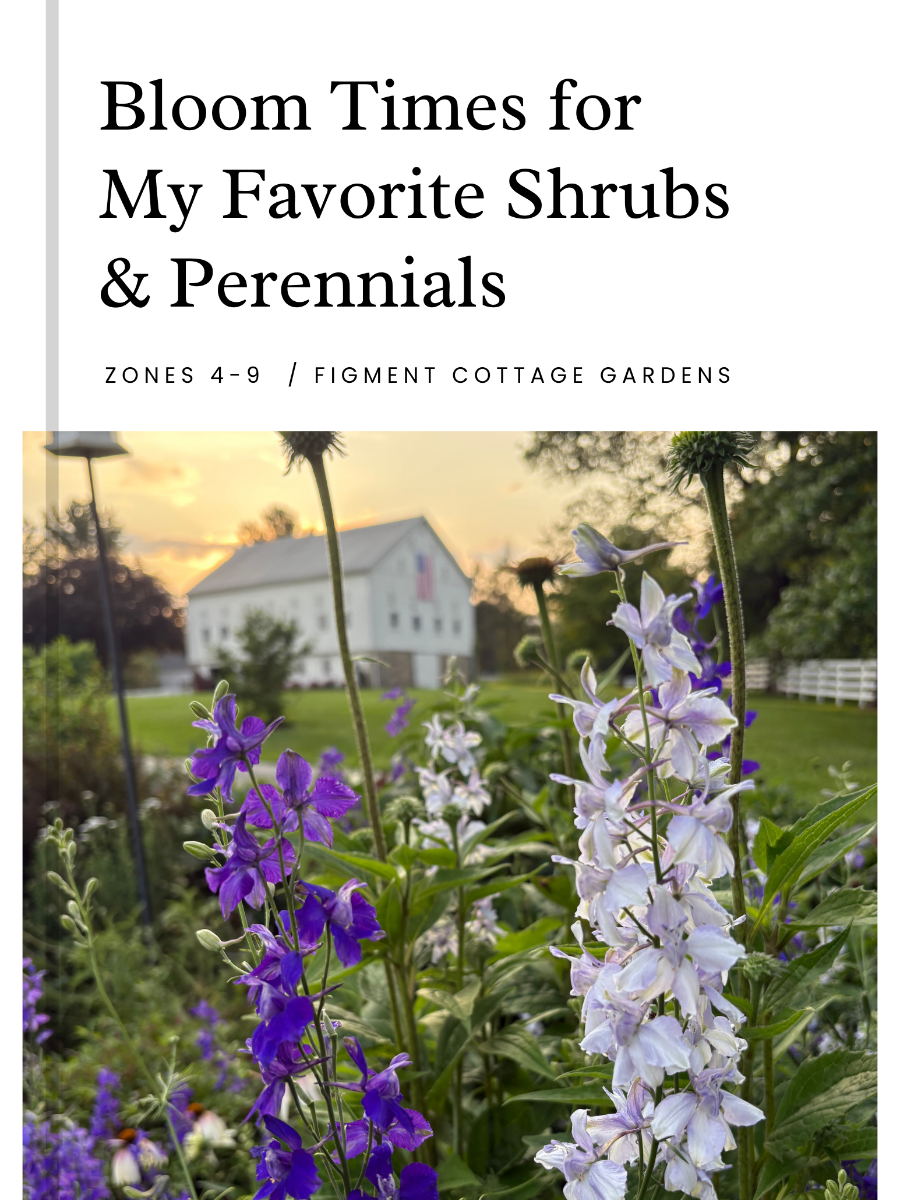 Book cover with flowers and a house in the background, titled 'Bloom Times for My Favorite Shrubs & Perennials'.

