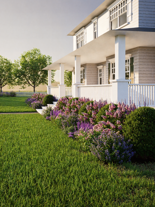 Neatly maintained lawn with purple flowers, boxwoods, and hydrangeas in a foundation border garden.

