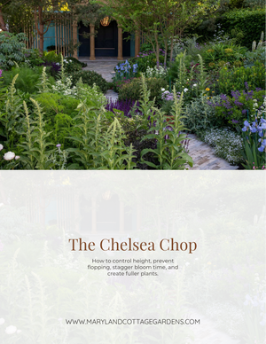 Chelsea Chop Guide