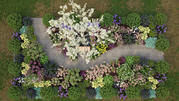 Overhead view of a deer resistant cottage garden