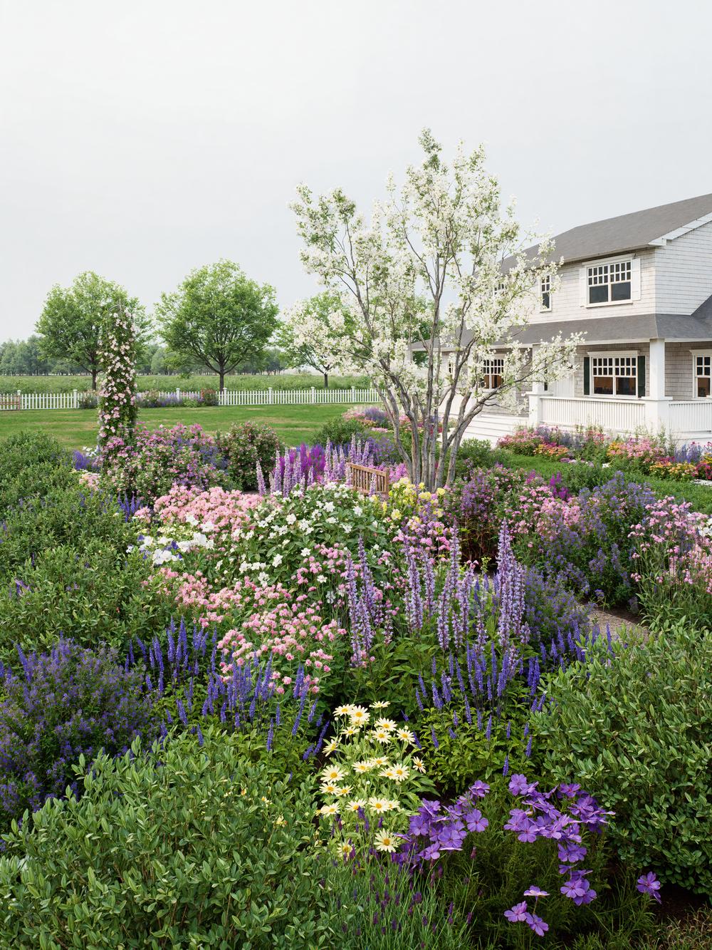 Cottage garden with salvia, serviceberry, and deer resistant perennials