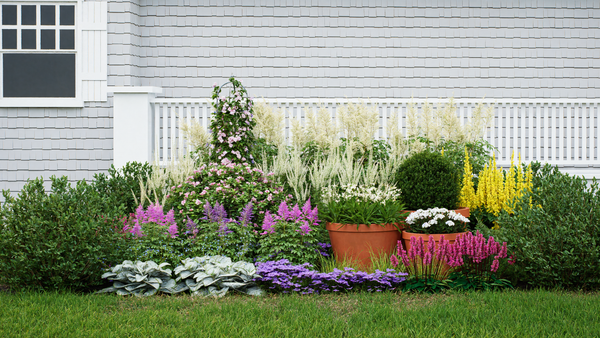 Deer resistant shade garden plants