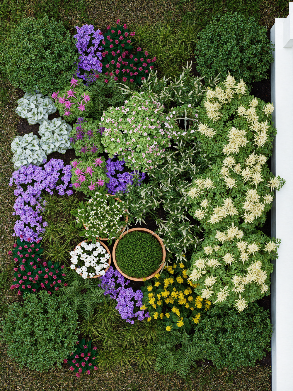 Aerial view of deer resistant shade garden plants