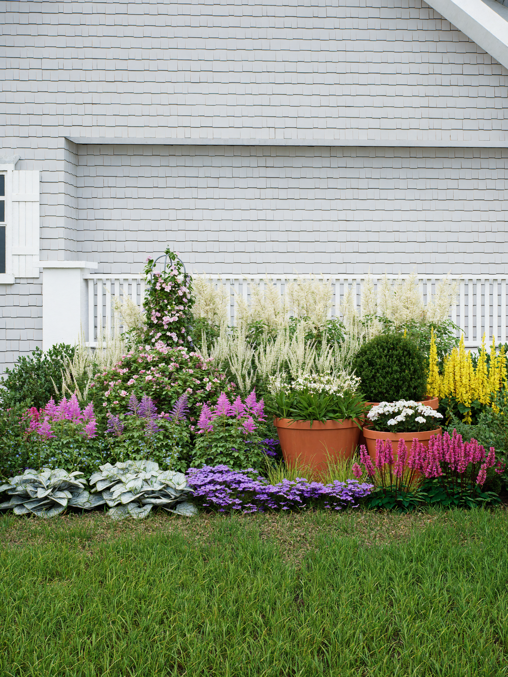 Aerial view of deer resistant shade garden plants