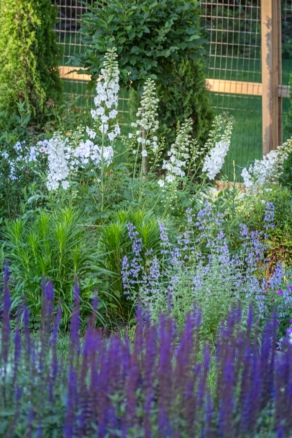 Garden with white and purple flowers, green foliage, and a wire fence in the background.