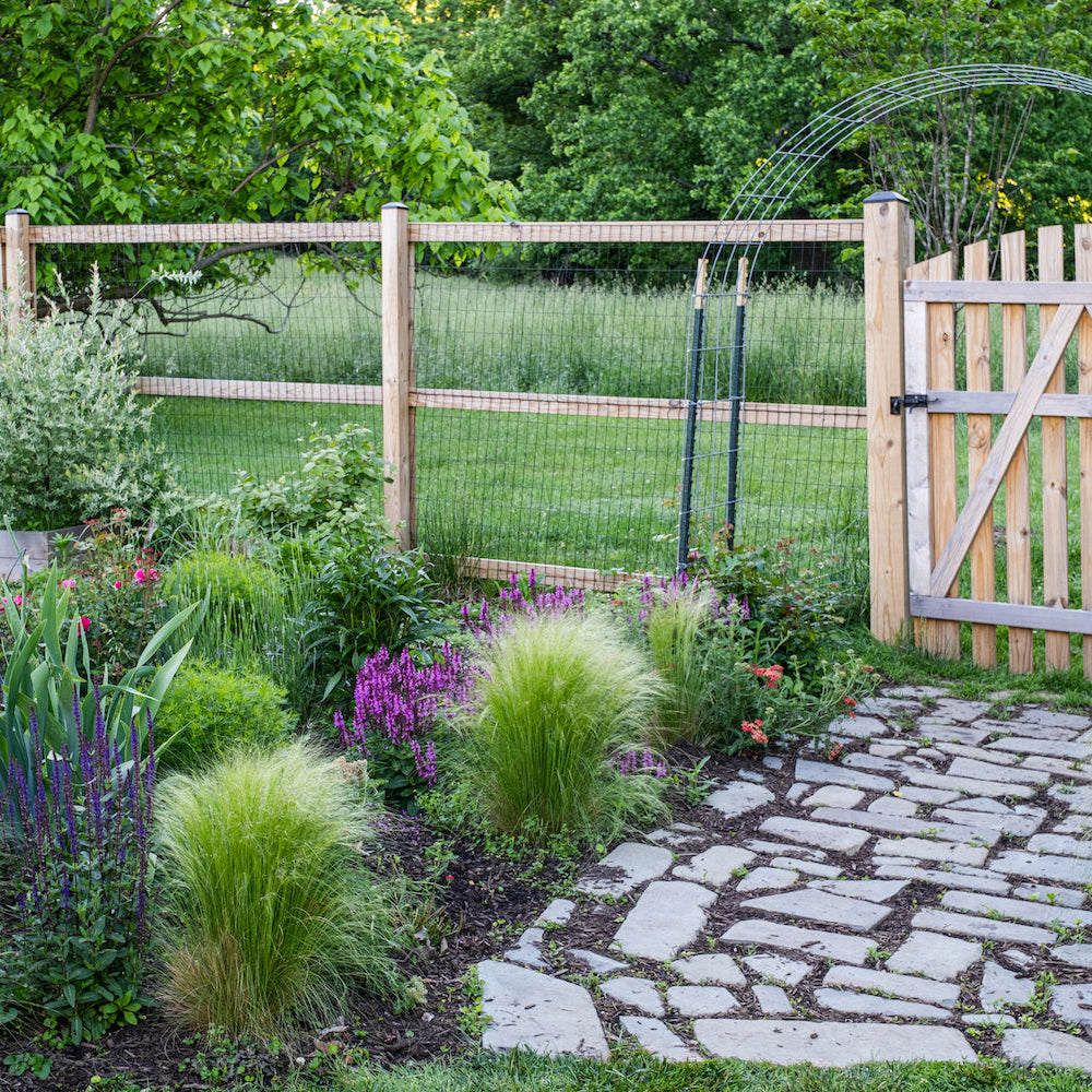 Grasses meadowscaping in a cottage garden