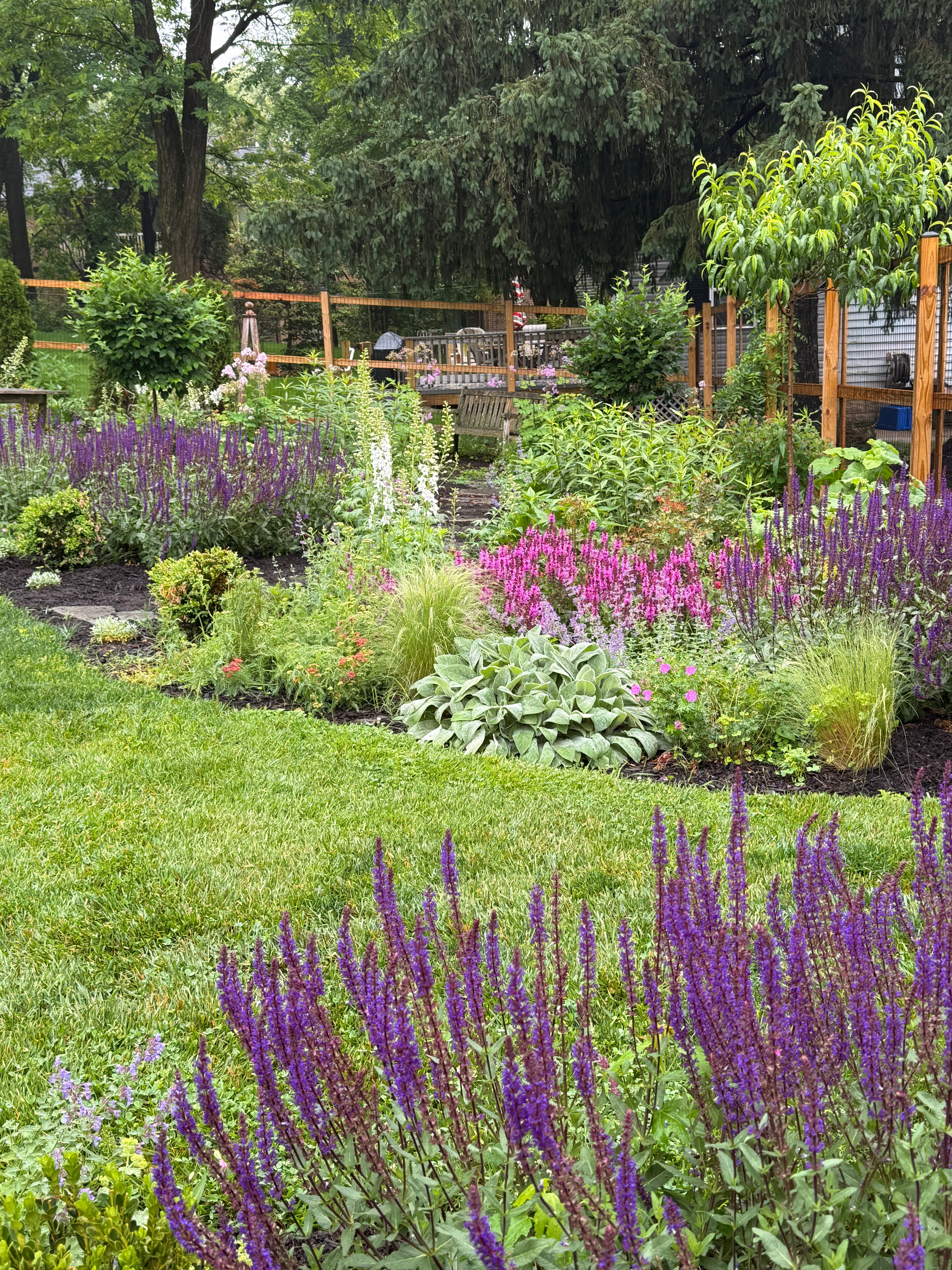 Garden with purple flowers and green grass

