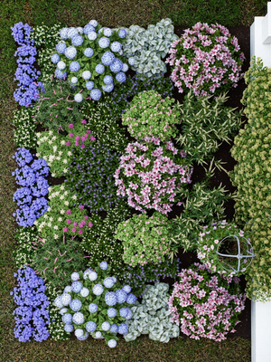 aerial shade garden plan