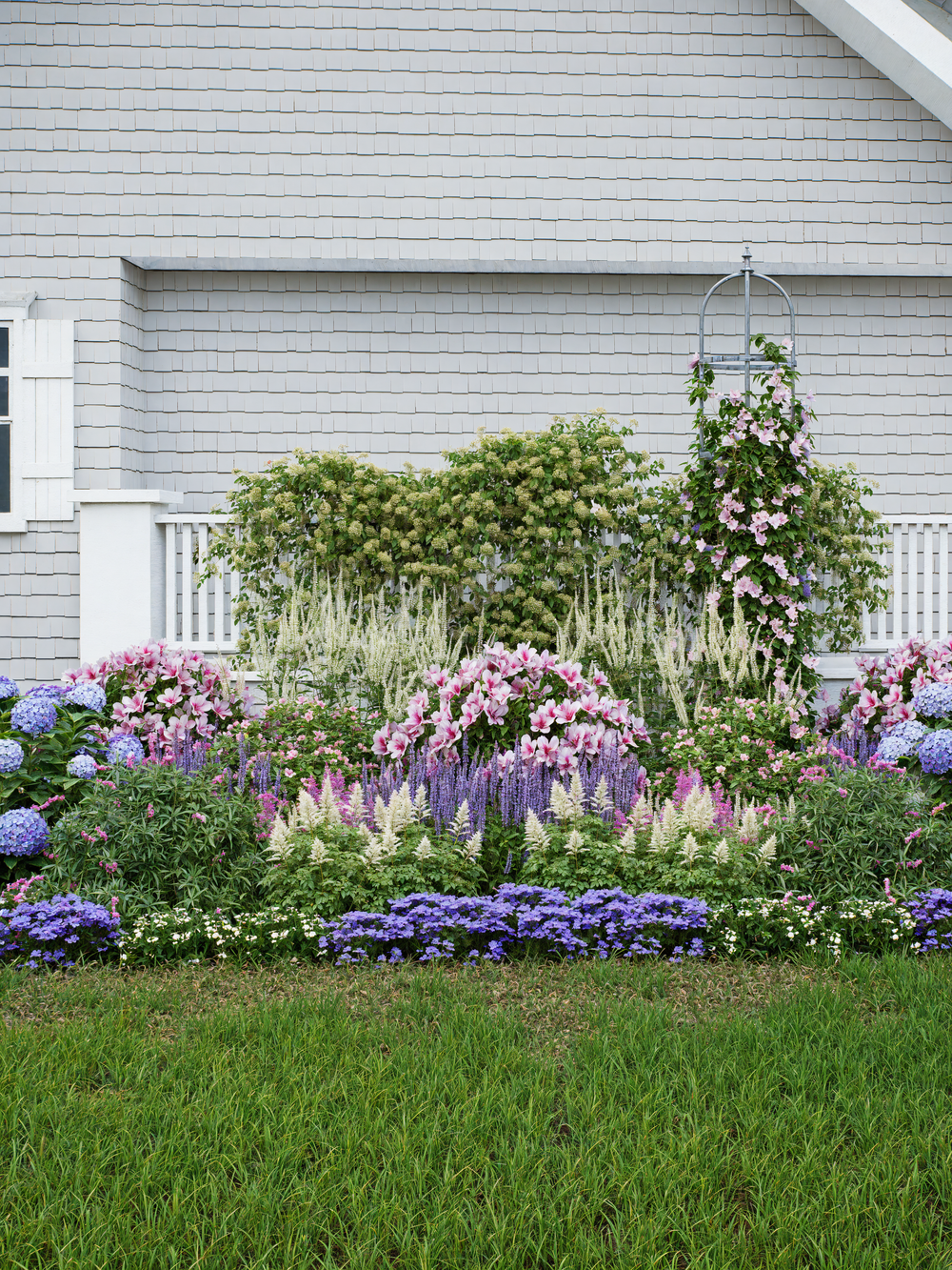 Shade garden with hydrangeas and flowers that bloom in shade