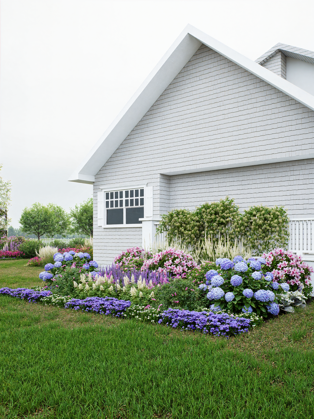 Shade garden with hydrangeas and flowers that bloom in shade