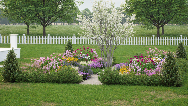 Tree in the middle of a formal cottage garden