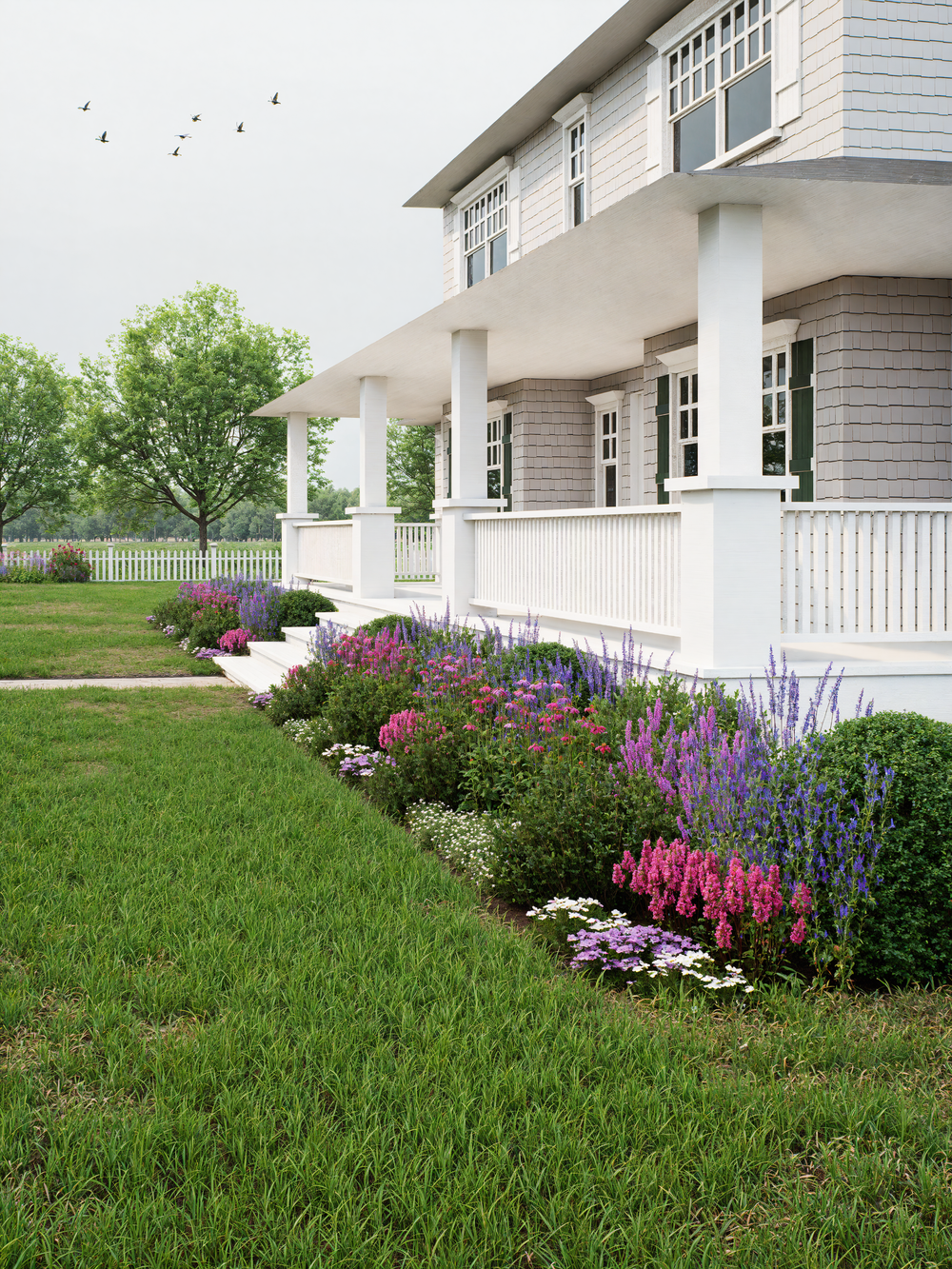 Native border garden in cottage garden style