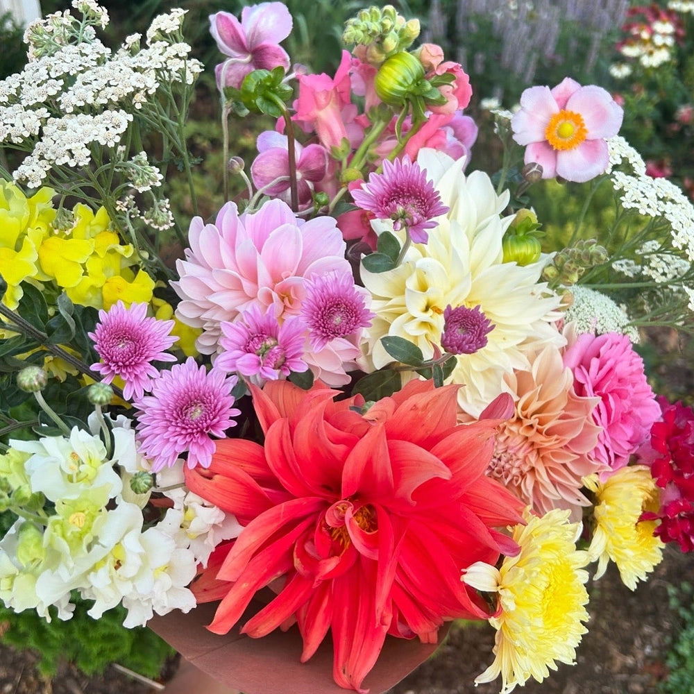 A bouquet of pink, coral, yellow, and cream dahlias, heirloom chrysanthemums, snapdragons, yarrow, David Austin roses, and Japanese anemone.