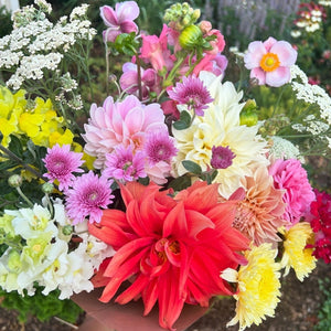 A bouquet of pink, coral, yellow, and cream dahlias, heirloom chrysanthemums, snapdragons, yarrow, David Austin roses, and Japanese anemone.