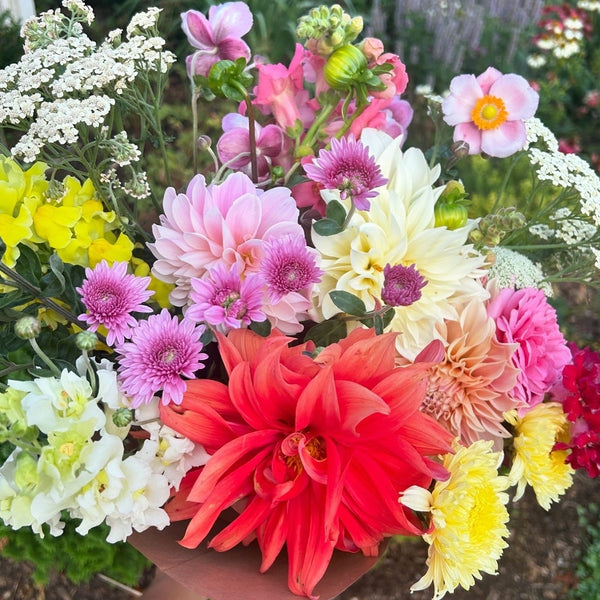 A bouquet of pink, coral, yellow, and cream dahlias, heirloom chrysanthemums, snapdragons, yarrow, David Austin roses, and Japanese anemone.