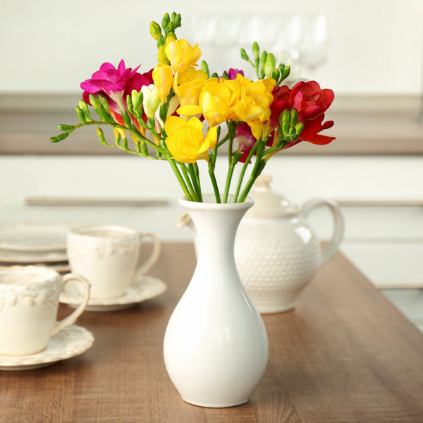 Tropical Sunset Collection Mixed Color Freesia Bulbs