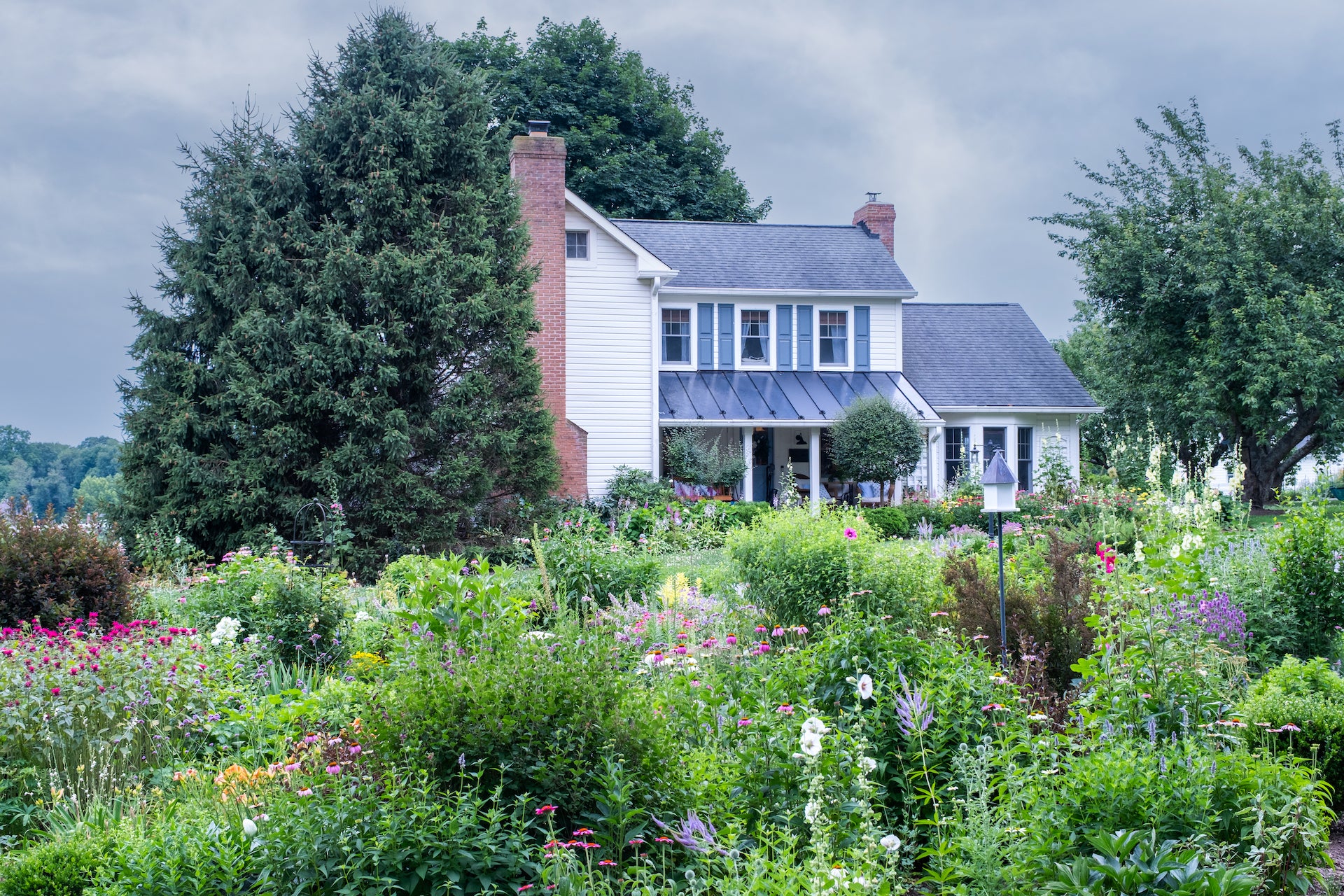 Farmhouse cottage garden Figment Cottage Gardens