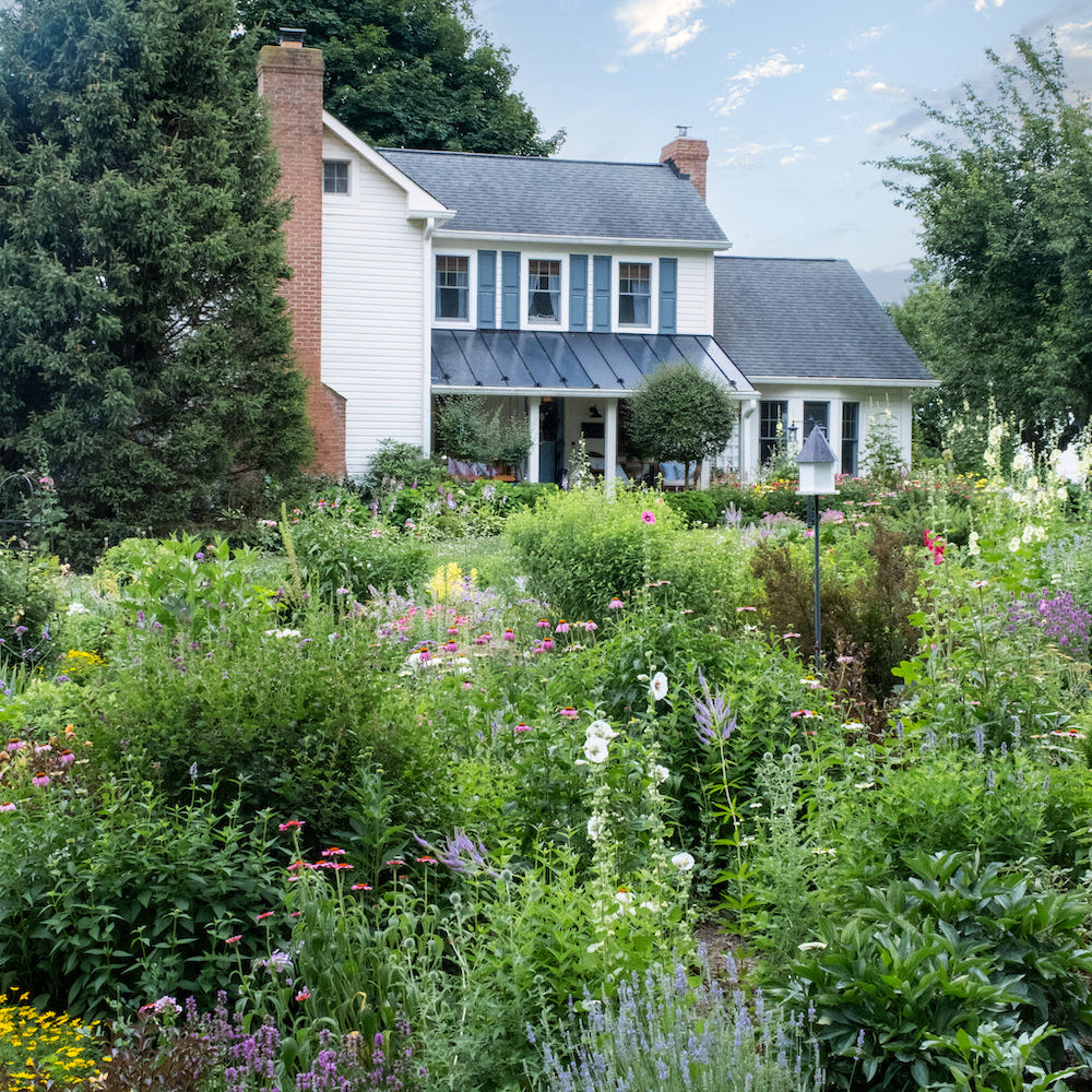 Cottage garden in front of a farmhouse