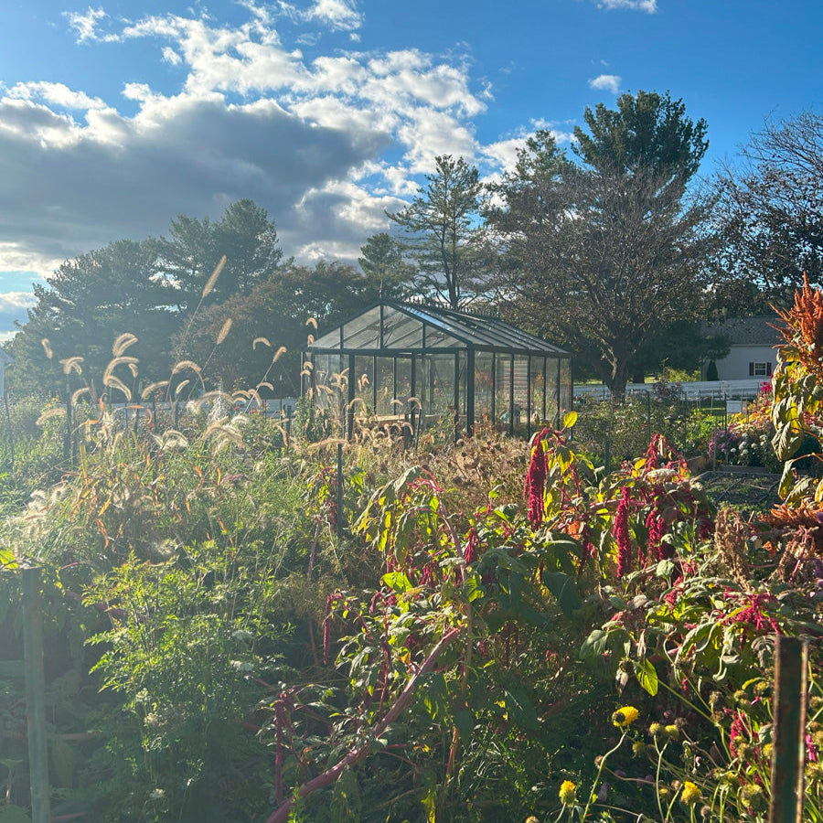 Garden with a greenhouse under a blue sky with clouds

