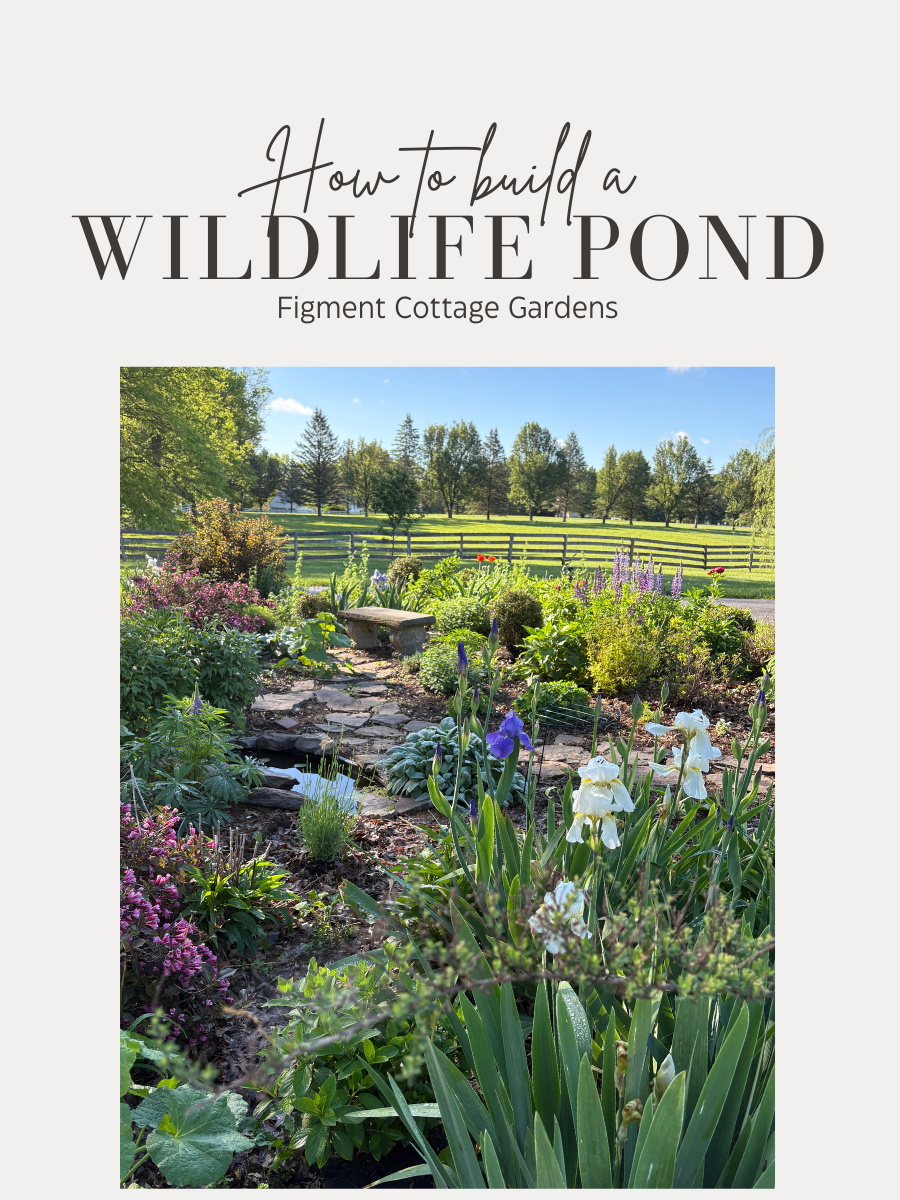 How to Build a Wildlife Pond Guidebook