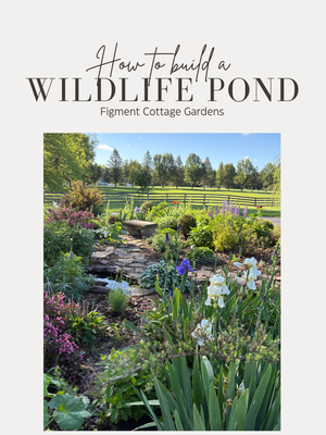 How to Build a Wildlife Pond Guidebook