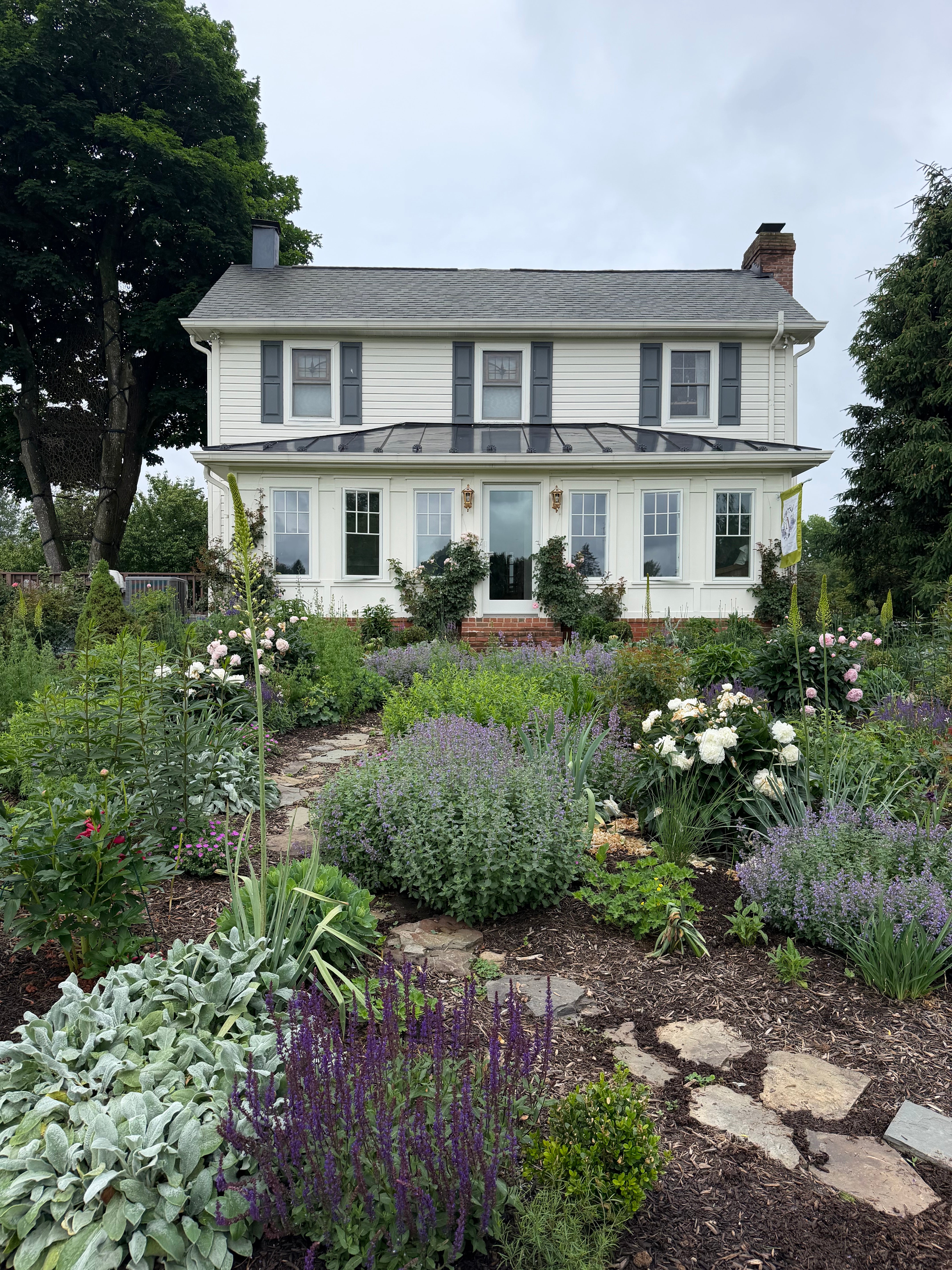 White farmhouse and spring cottage garden with peonies catmint and salvia