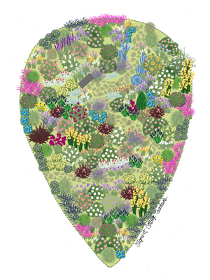 Large Full Sun Cottage Garden Illustration