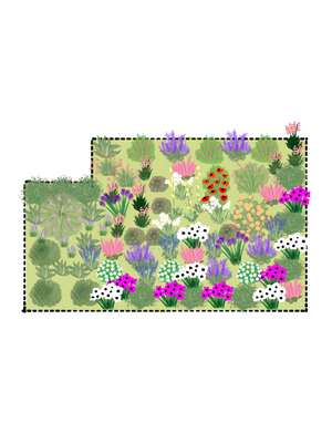 Part Sun to Full Sun Cottage Garden Illustration