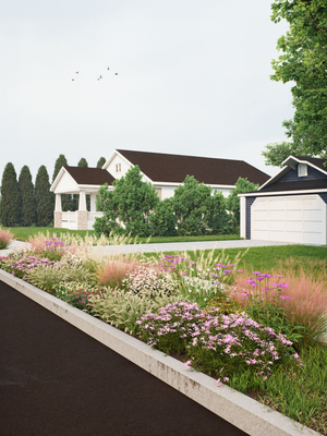 Native Sidewalk Strip Garden Plan (Drought, Heat & Salt Tolerant)