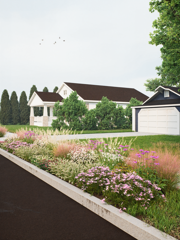 Native Sidewalk Strip Garden Plan (Drought, Heat & Salt Tolerant)