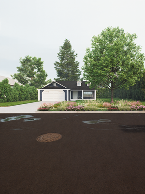 Native Sidewalk Strip Garden Plan (Drought, Heat & Salt Tolerant)