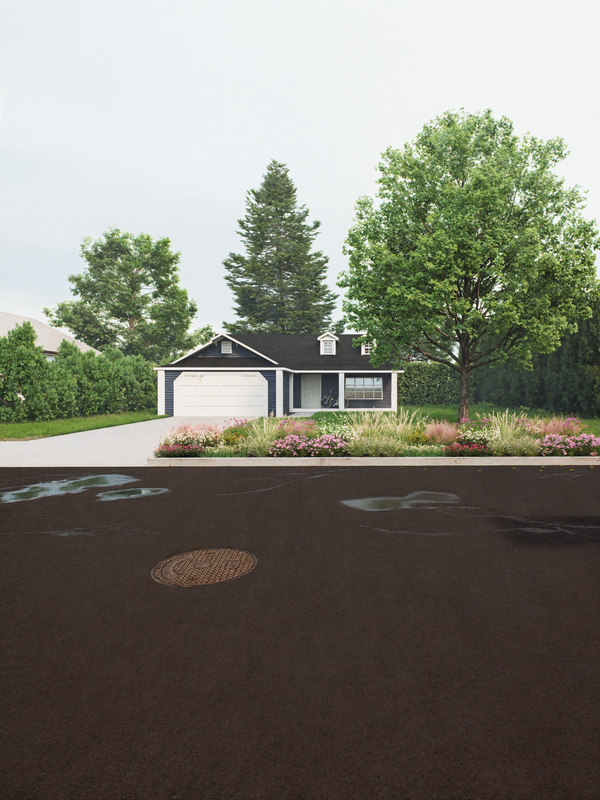 Native Sidewalk Strip Garden Plan (Drought, Heat & Salt Tolerant)