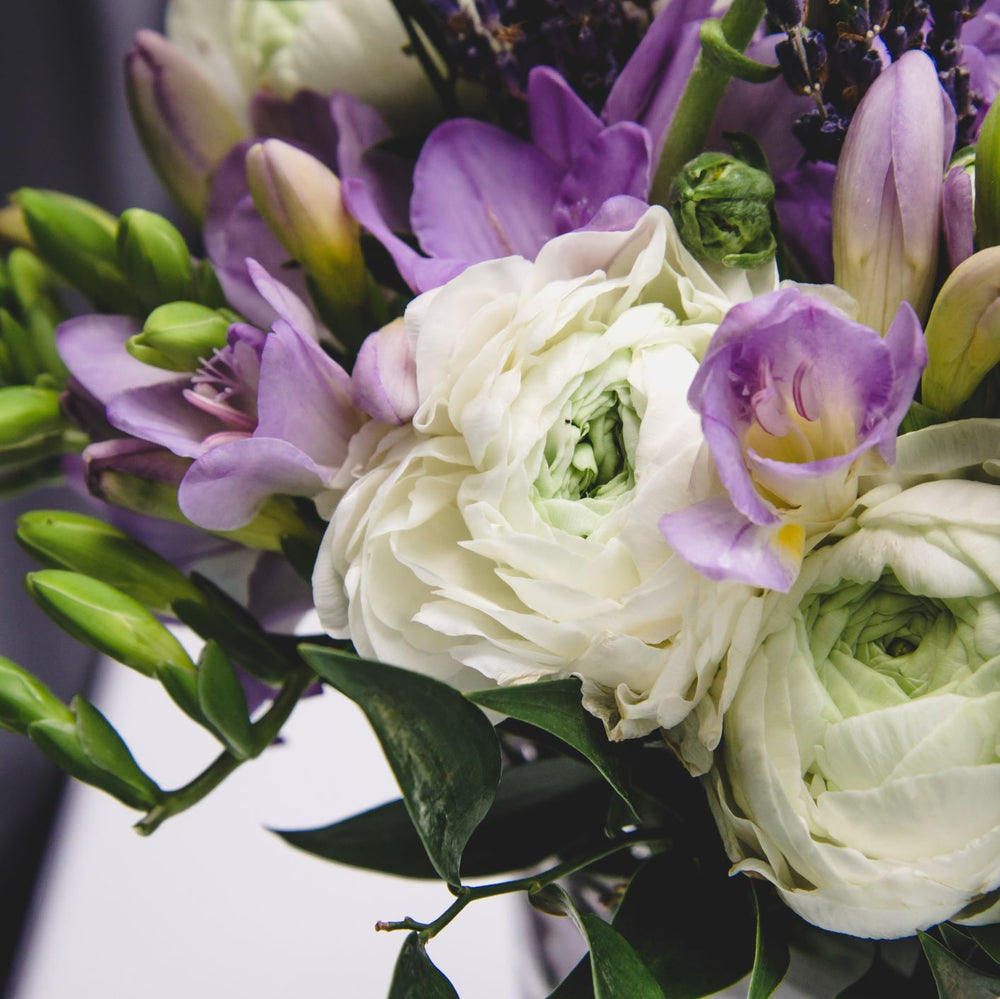 Blueberries & Cream Freesia & Ranunculus Blend – 35 White & Blue Flower Bulbs and Corms
