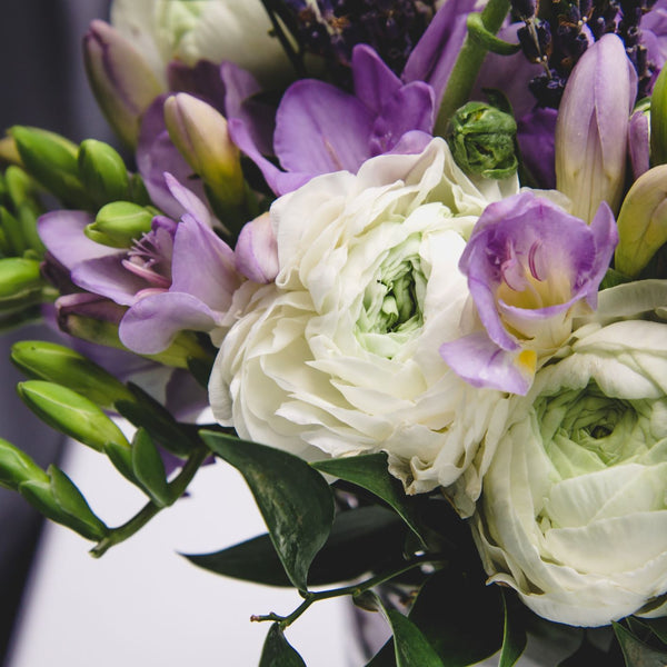 Blueberries & Cream Freesia & Ranunculus Blend – 35 White & Blue Flower Bulbs and Corms