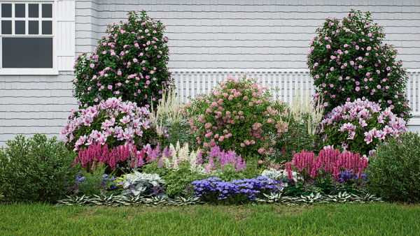 Sampler Shade Garden Plan