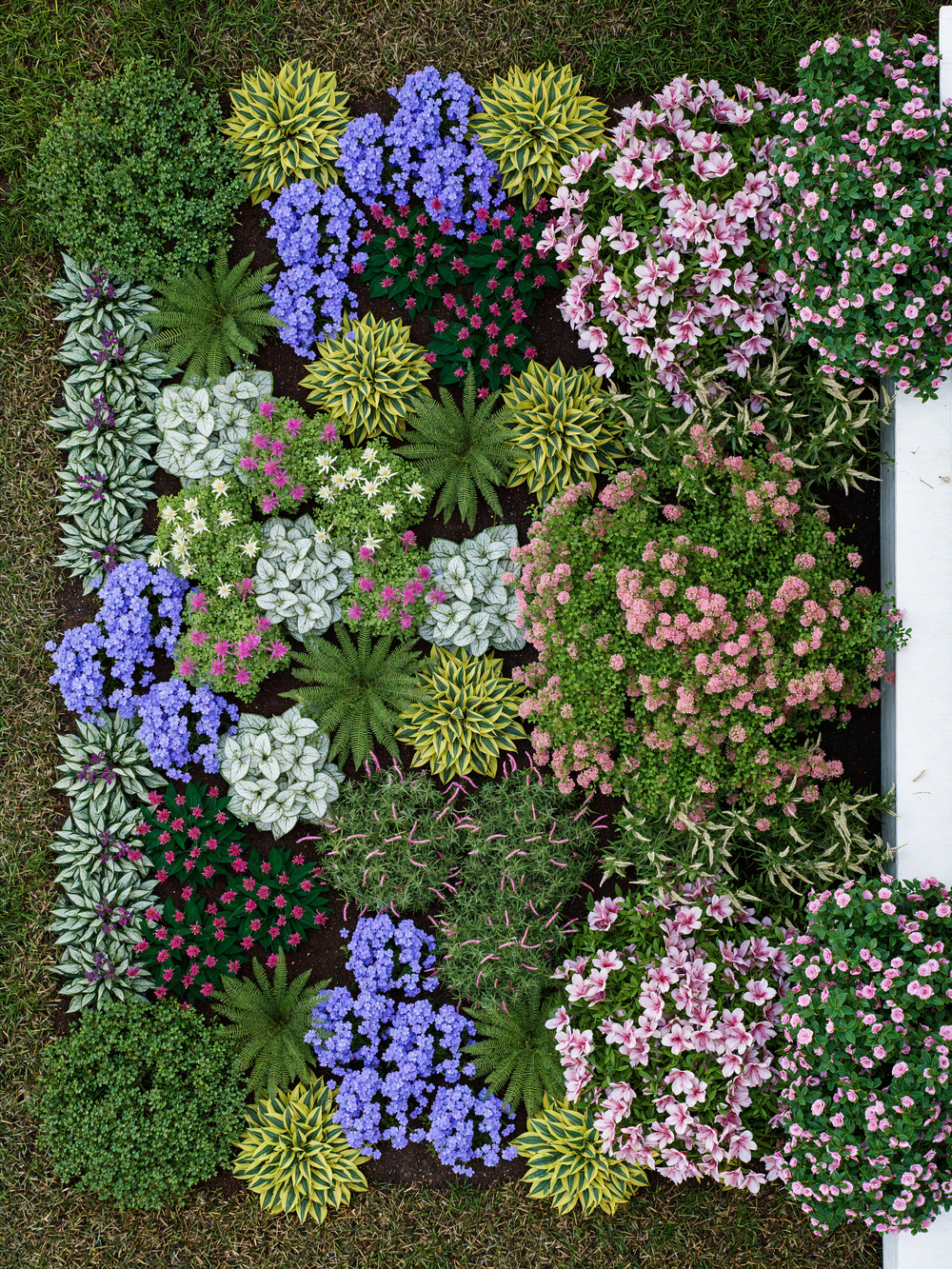 Flowers in a woodland garden