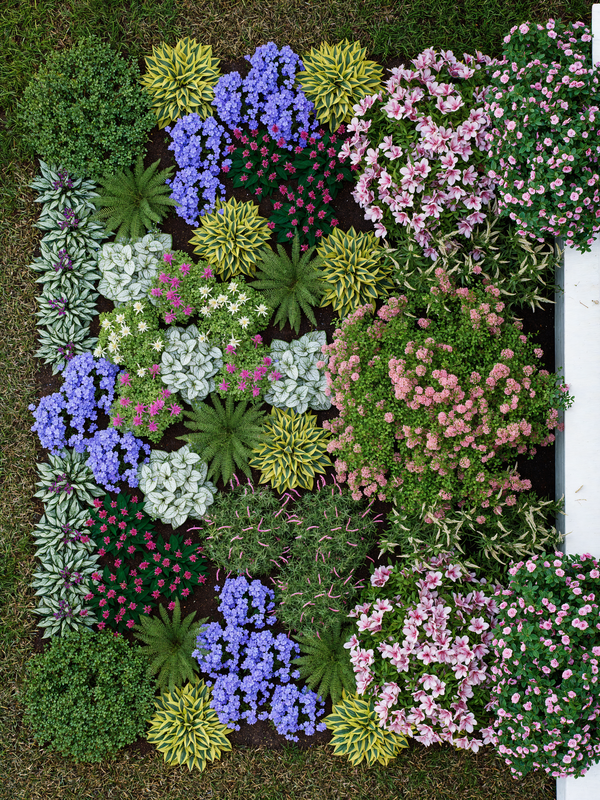 Three-in-One Shade Garden Plan Bundle