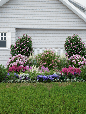 Flowers in a woodland garden