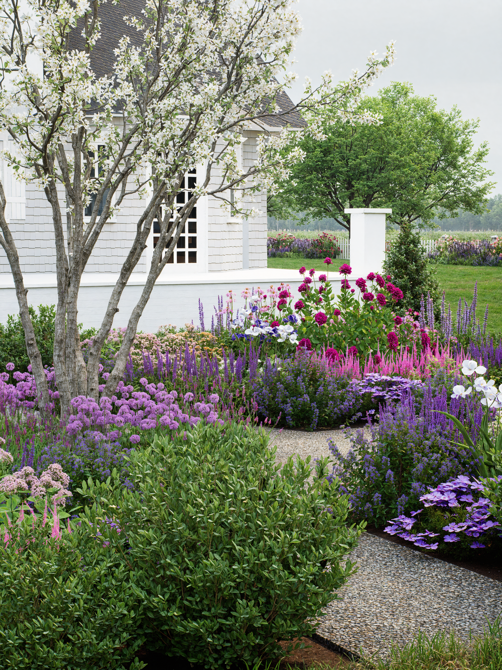 Formal full sun English cottage garden parterre plan with a tree and allium and roses.