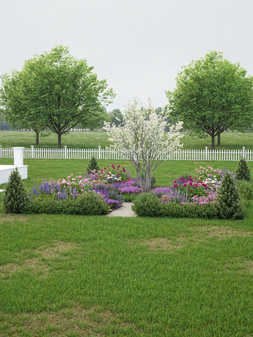 Formal full sun English cottage garden parterre plan with a tree and allium and roses.