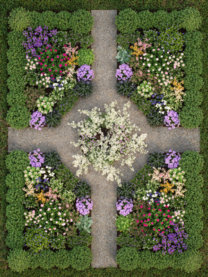 Formal full sun cottage garden parterre plan with boxwood hedging and tree in the middle