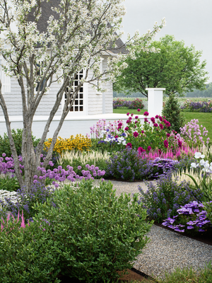 Cottage arden with colorful flowers and a white building in the background.

