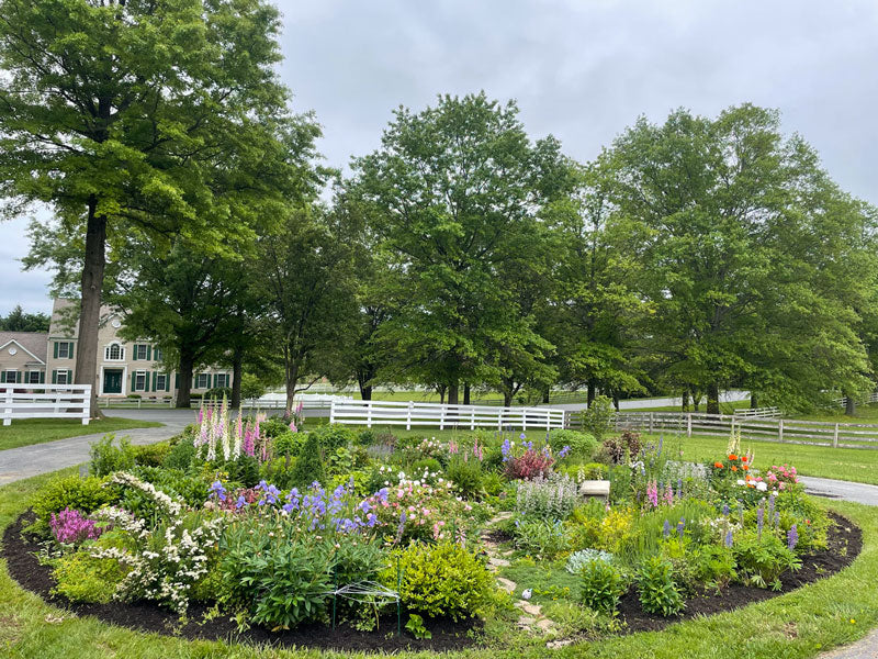 Cottage garden with various plants and flowers like foxglove and peonies.

