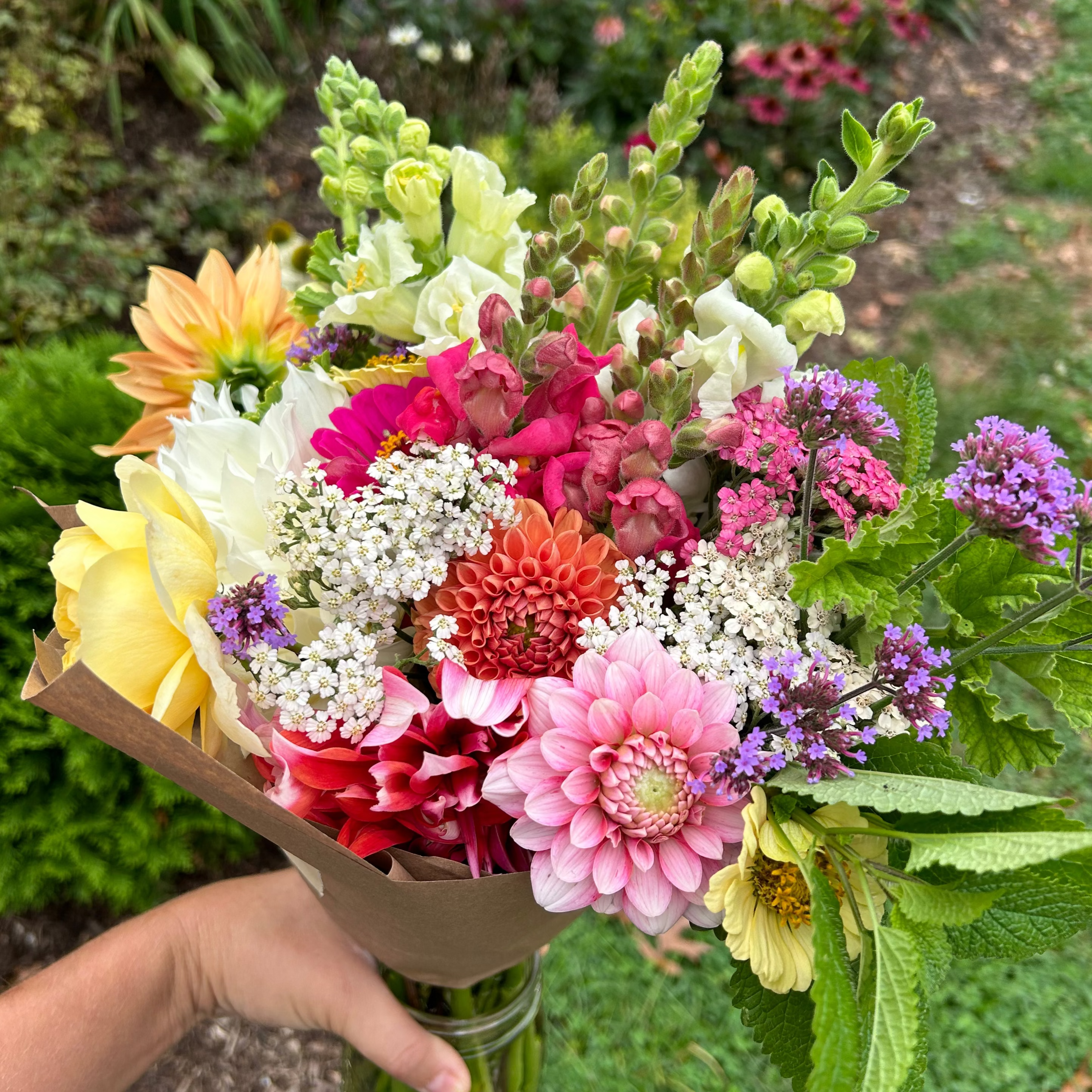 Bouquet of colorful roses, yarrow, dahlias, verbena, and snapdragons held by a hand with a garden background

